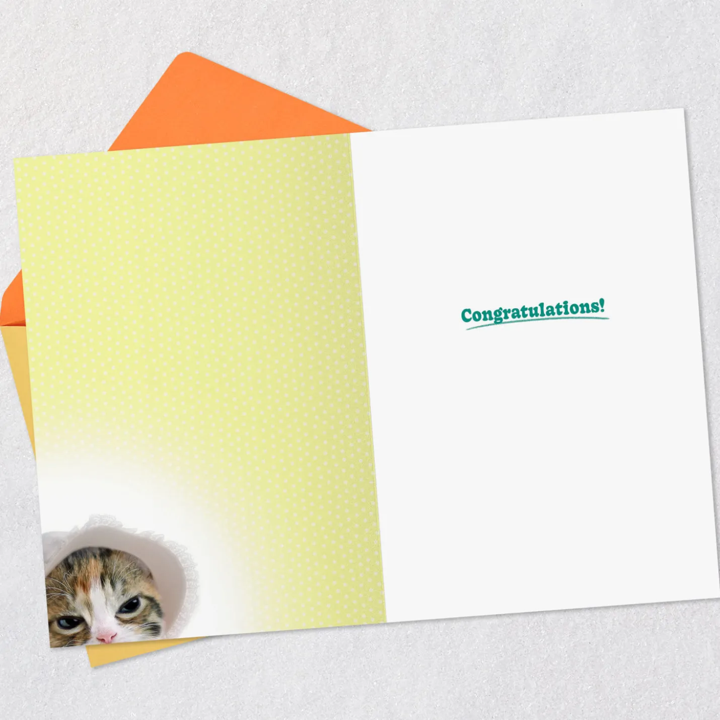 Cute Kitten in a Baby Bonnet Funny New Baby Card