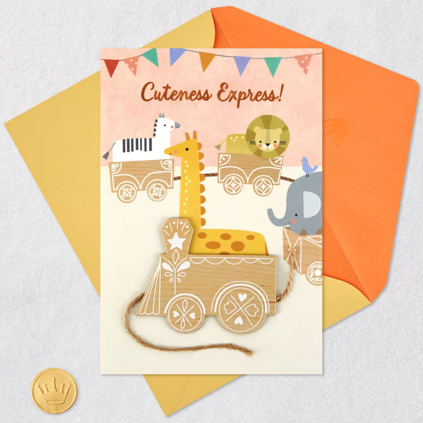Cuteness Express New Baby Girl Card