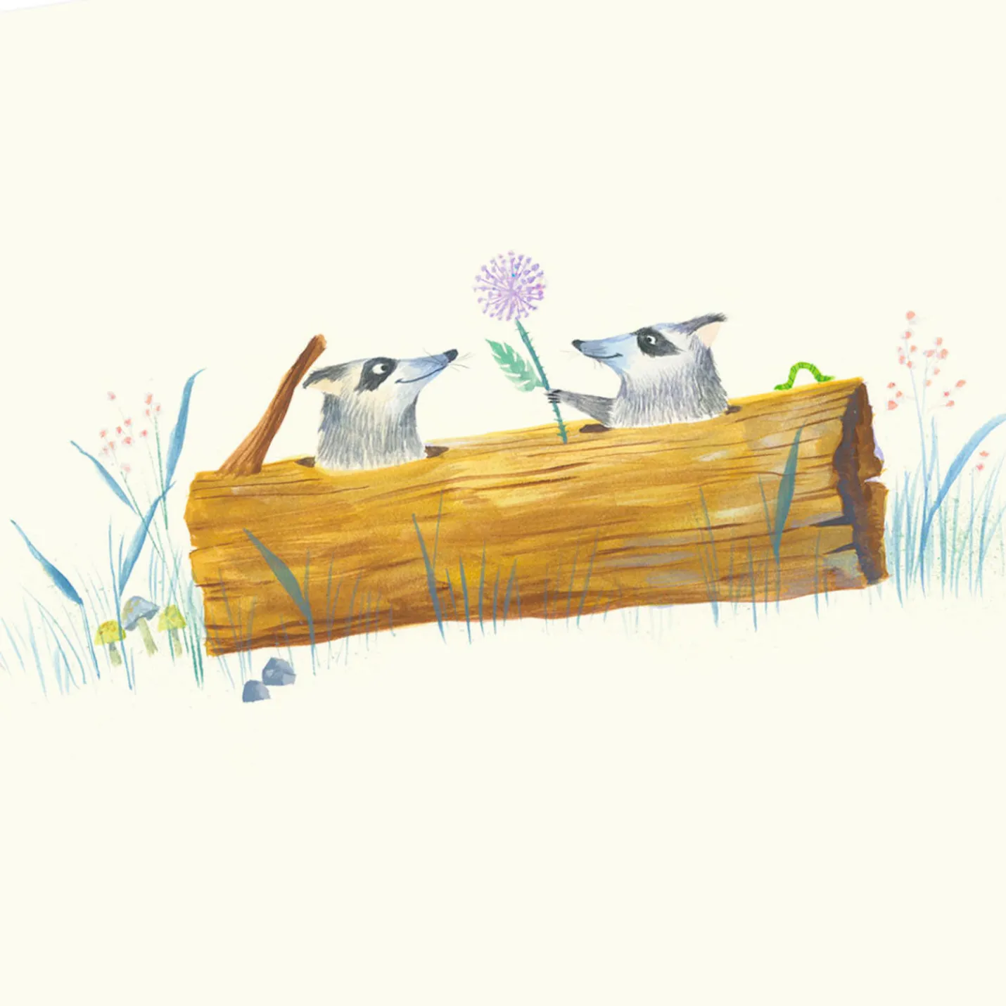 Cute Raccoons and Flowers Blank Card