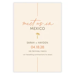 Destination Wedding Palm Tree Save the Date