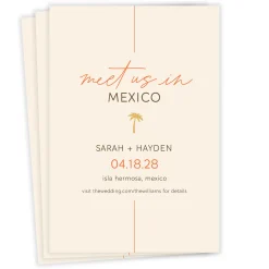 Destination Wedding Palm Tree Save the Date