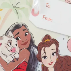 4.6" Disney Princesses Gift Card Holder Mini Bag