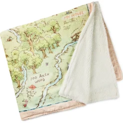Disney Winnie the Pooh Hundred Acre Wood Map Throw Blanket, 60x52