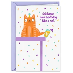 Do Anything You Damn Well Want Funny Birthday Card