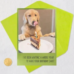 Dog Years Waiting for Cake Funny Birthday Card