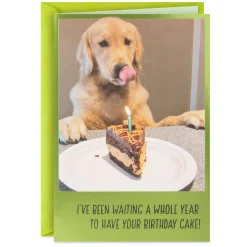 Dog Years Waiting for Cake Funny Birthday Card