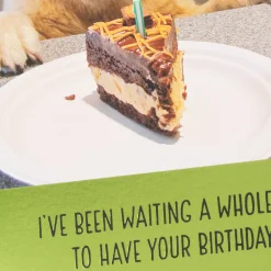 Dog Years Waiting for Cake Funny Birthday Card