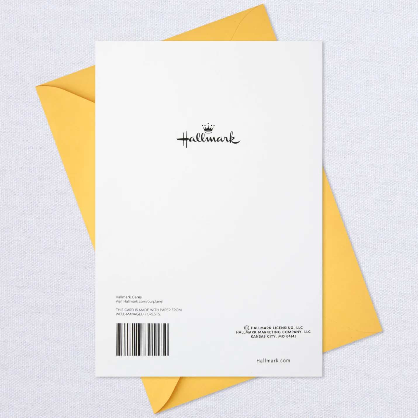 Dog Party Blank Card