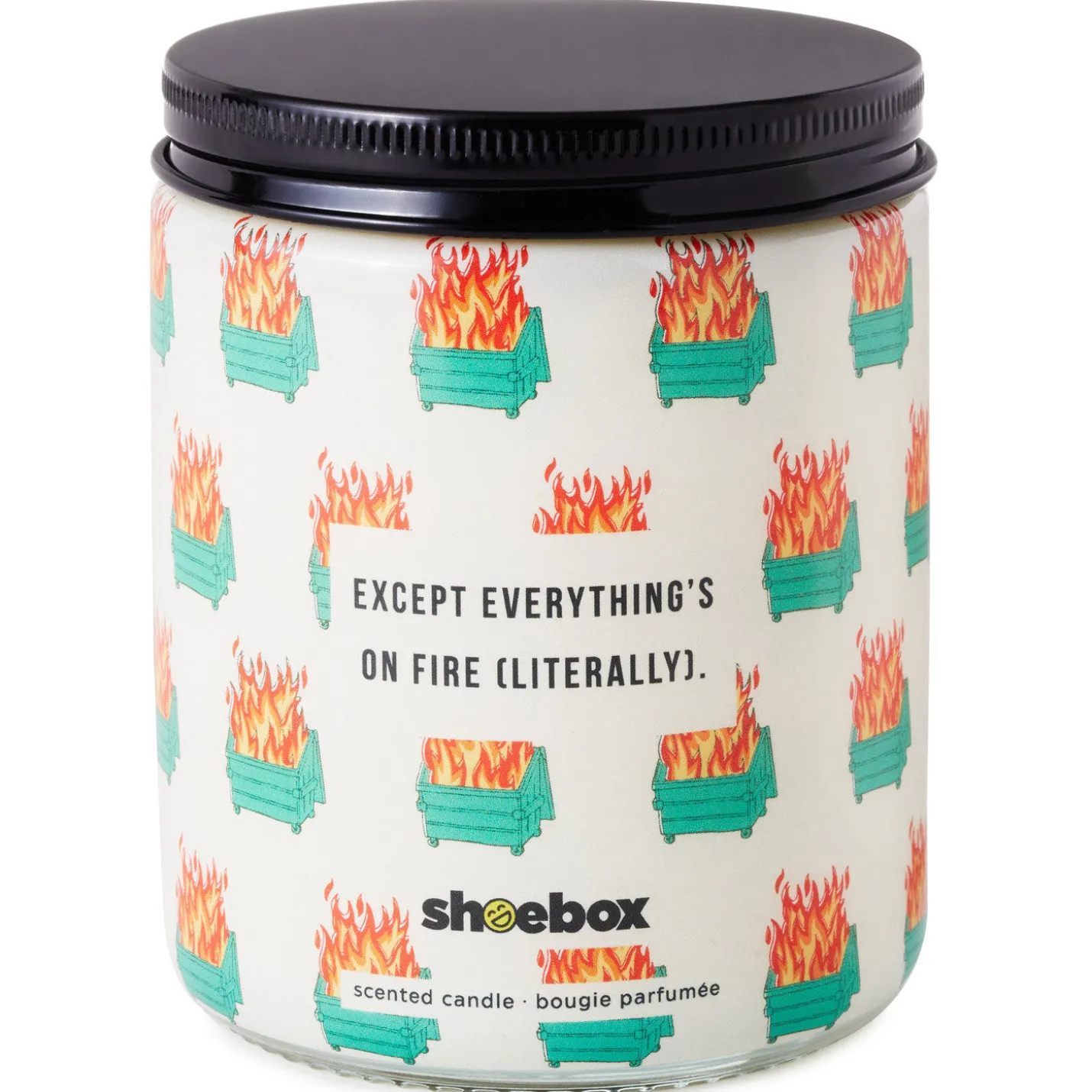 Dumpster Fire Everything's Fine Scented Single-Wick Jar Candle, 7 oz.