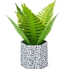 Fern Rooting for You 3D Pop-Up Thinking of You Card