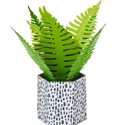 Fern Rooting for You 3D Pop-Up Thinking of You Card