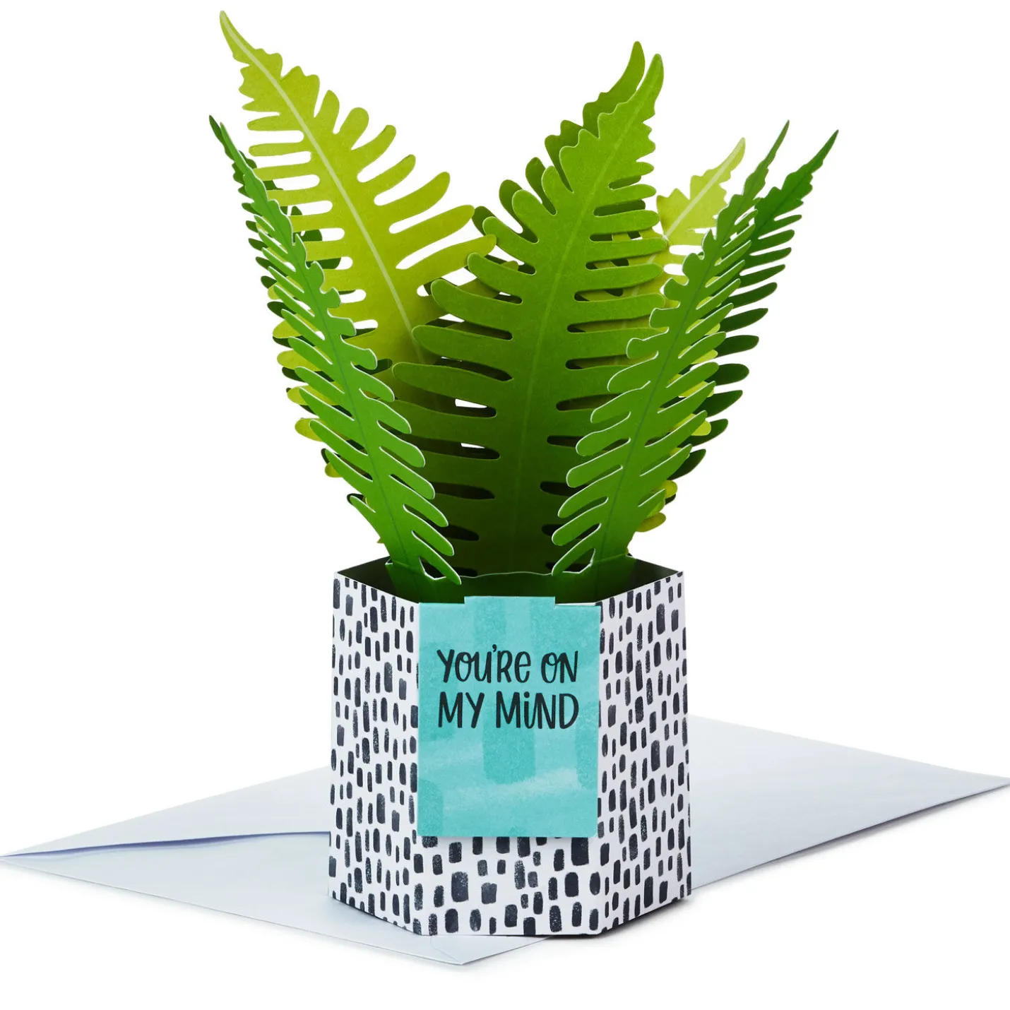Fern Rooting for You 3D Pop-Up Thinking of You Card