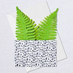 Fern Rooting for You 3D Pop-Up Thinking of You Card