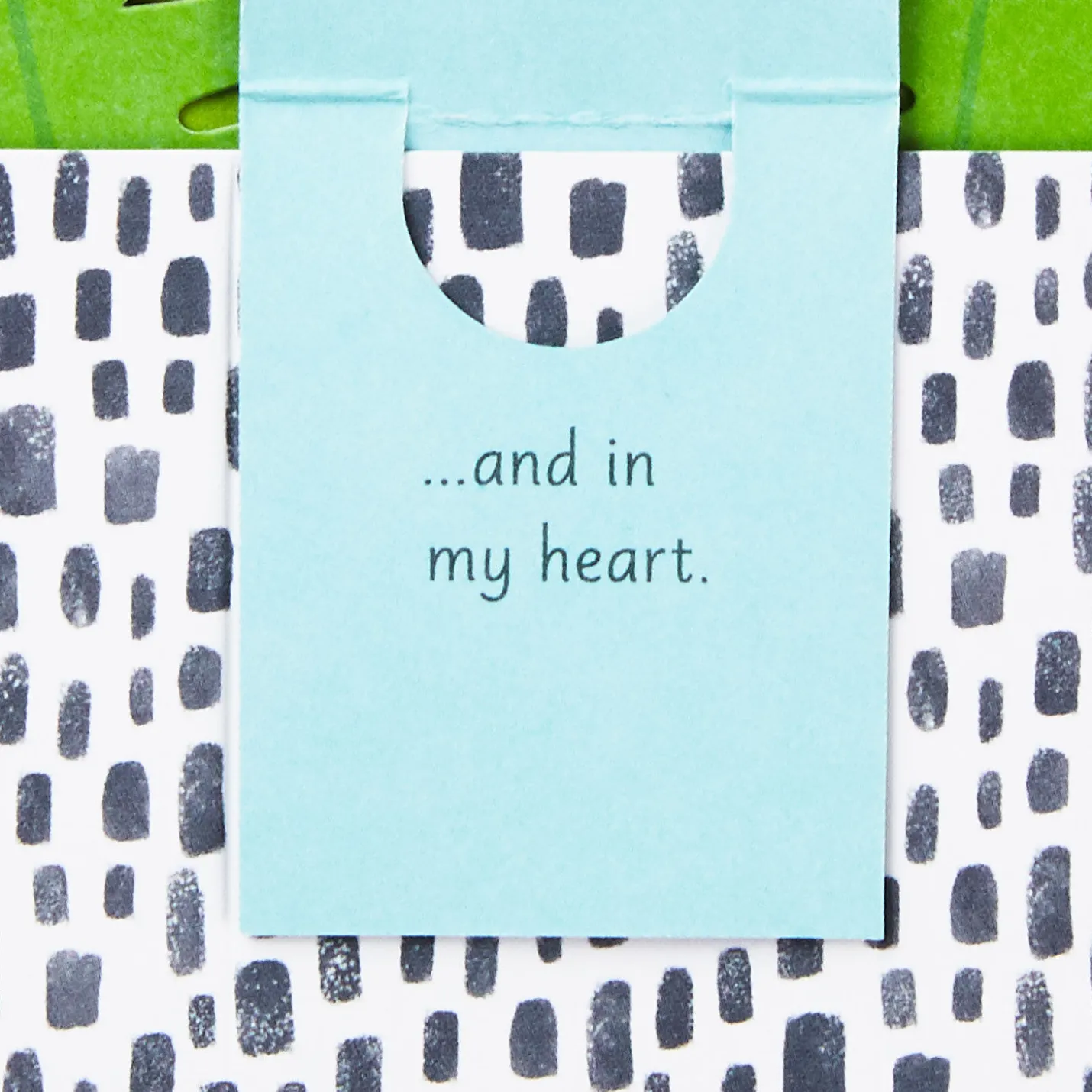 Fern Rooting for You 3D Pop-Up Thinking of You Card