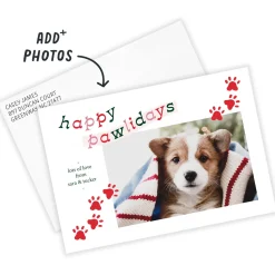Fun Pawlidays Pet Flat Holiday Photo Card