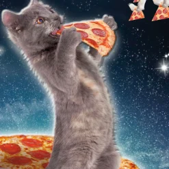 Galactic Cat With Pizza Funny Birthday Card