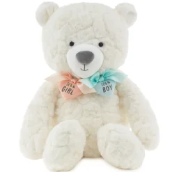 Gender Reveal Teddy Bear Plush With Ribbons