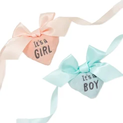 Gender Reveal Teddy Bear Plush With Ribbons