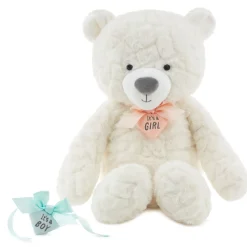 Gender Reveal Teddy Bear Plush With Ribbons
