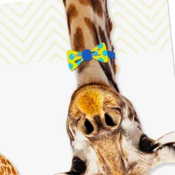 Giraffe in Bow Tie and Party Hat Birthday Card for Kids