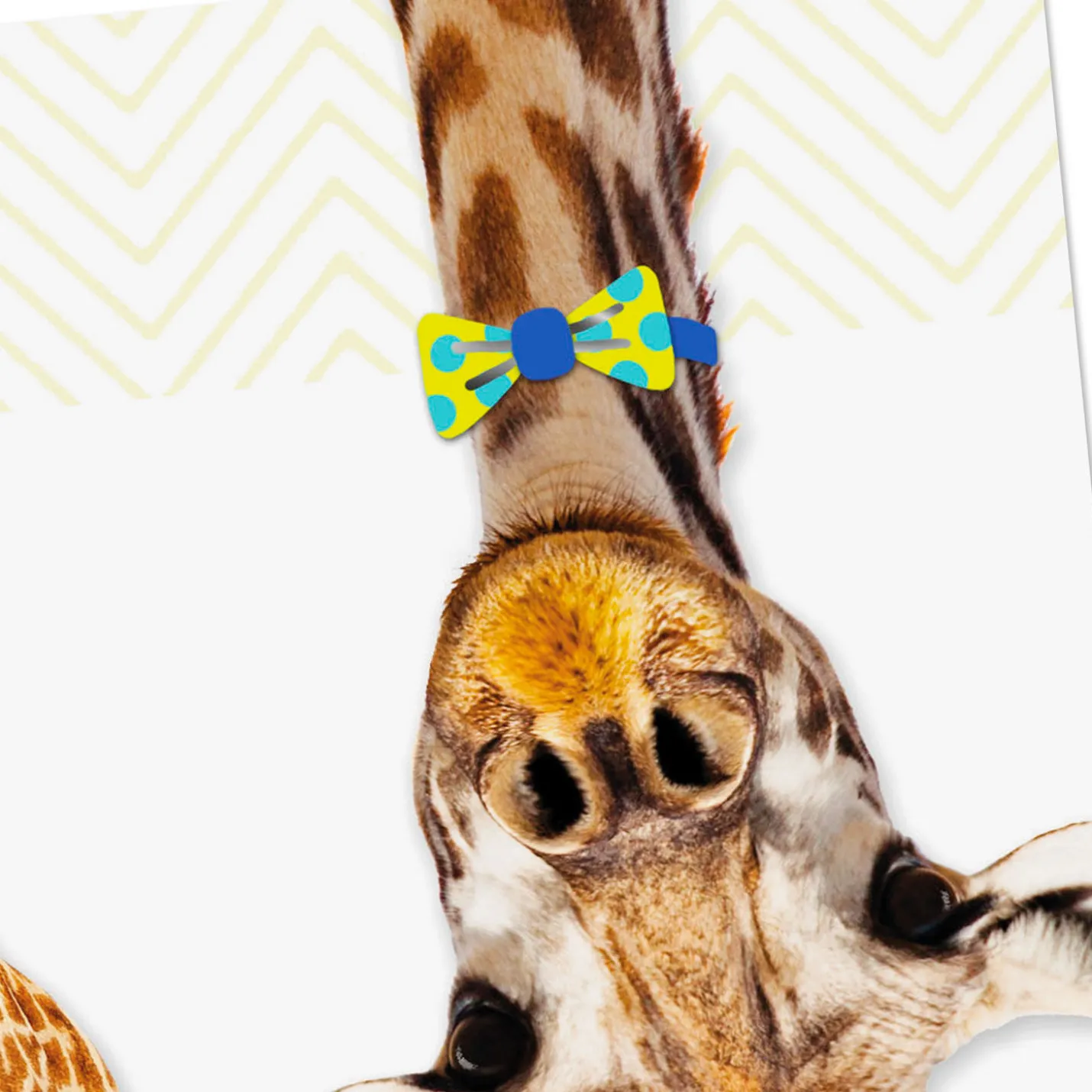 Giraffe in Bow Tie and Party Hat Birthday Card for Kids
