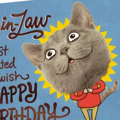 Glad Our Family Hasn't Changed You Funny Birthday Card for Son-in-Law
