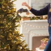 Godzilla: King of the Monsters Rodan Ornament