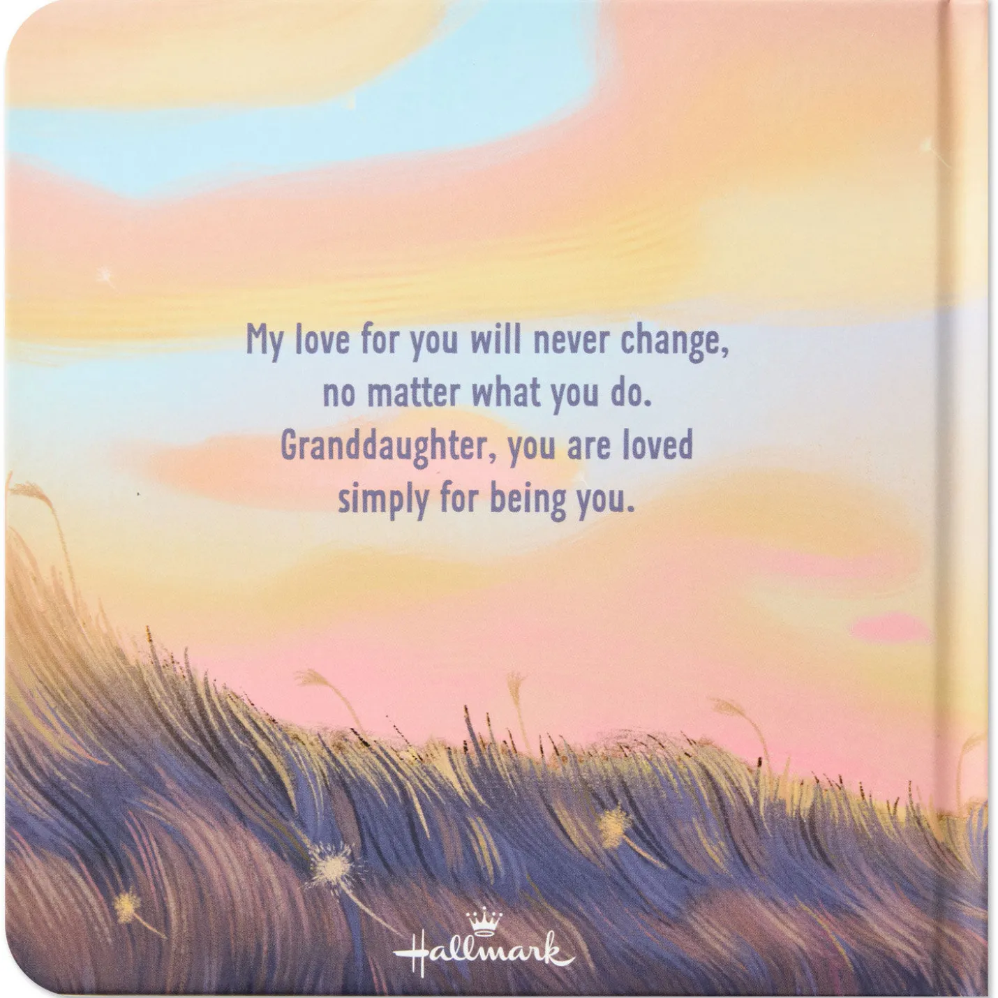 Granddaughter You Are Loved Board Book