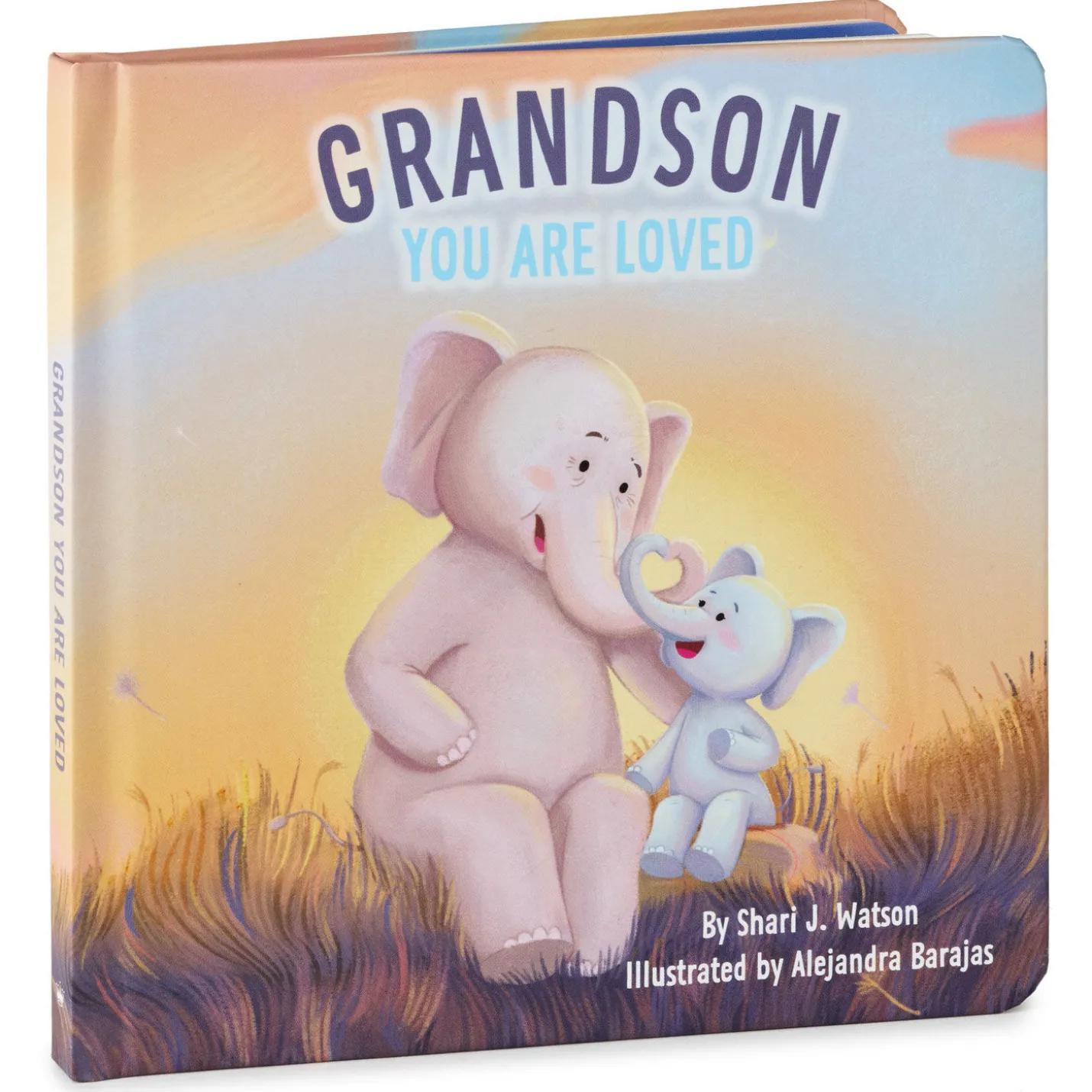 Grandson You Are Loved Board Book