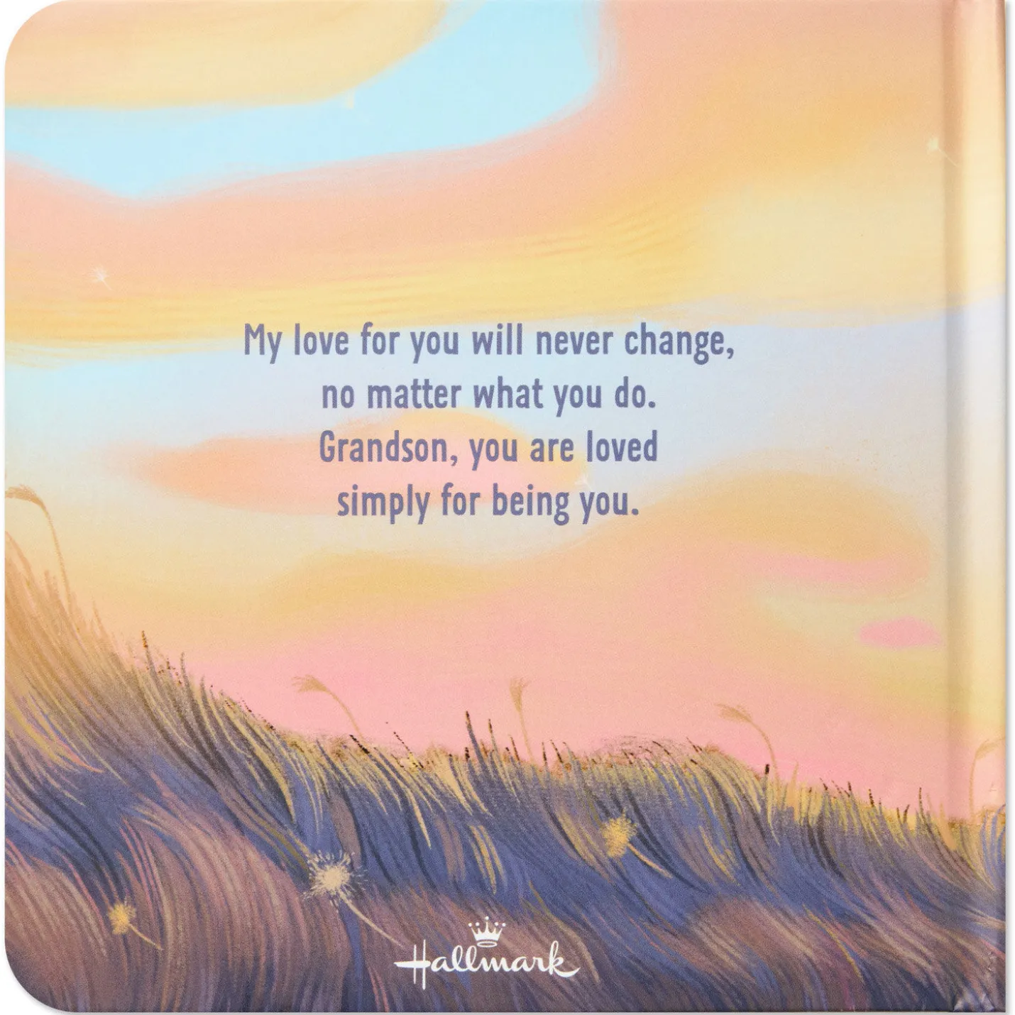 Grandson You Are Loved Board Book