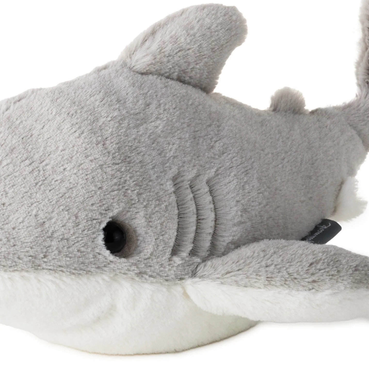 Gray Shark Plush, 13" L