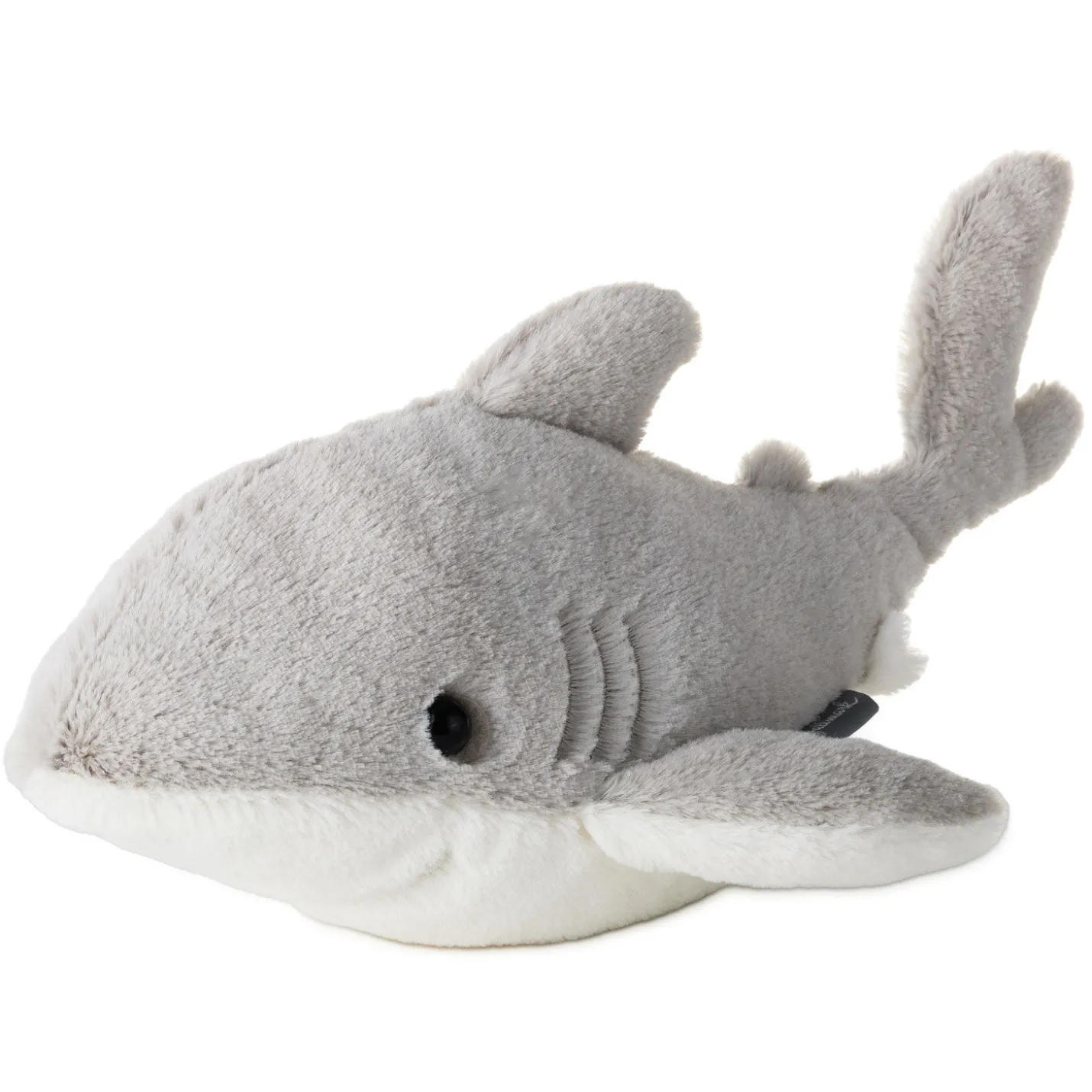 Gray Shark Plush, 13" L