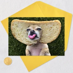 Great Any Way You Slice It Funny Birthday Card