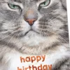Grumpy Cat Funny Birthday Card
