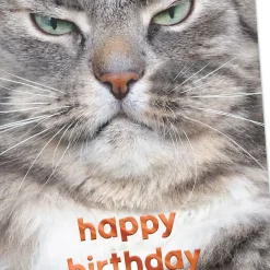 Grumpy Cat Funny Birthday Card