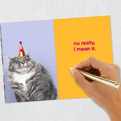 Grumpy Cat Funny Birthday Card