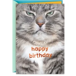 Grumpy Cat Funny Birthday Card