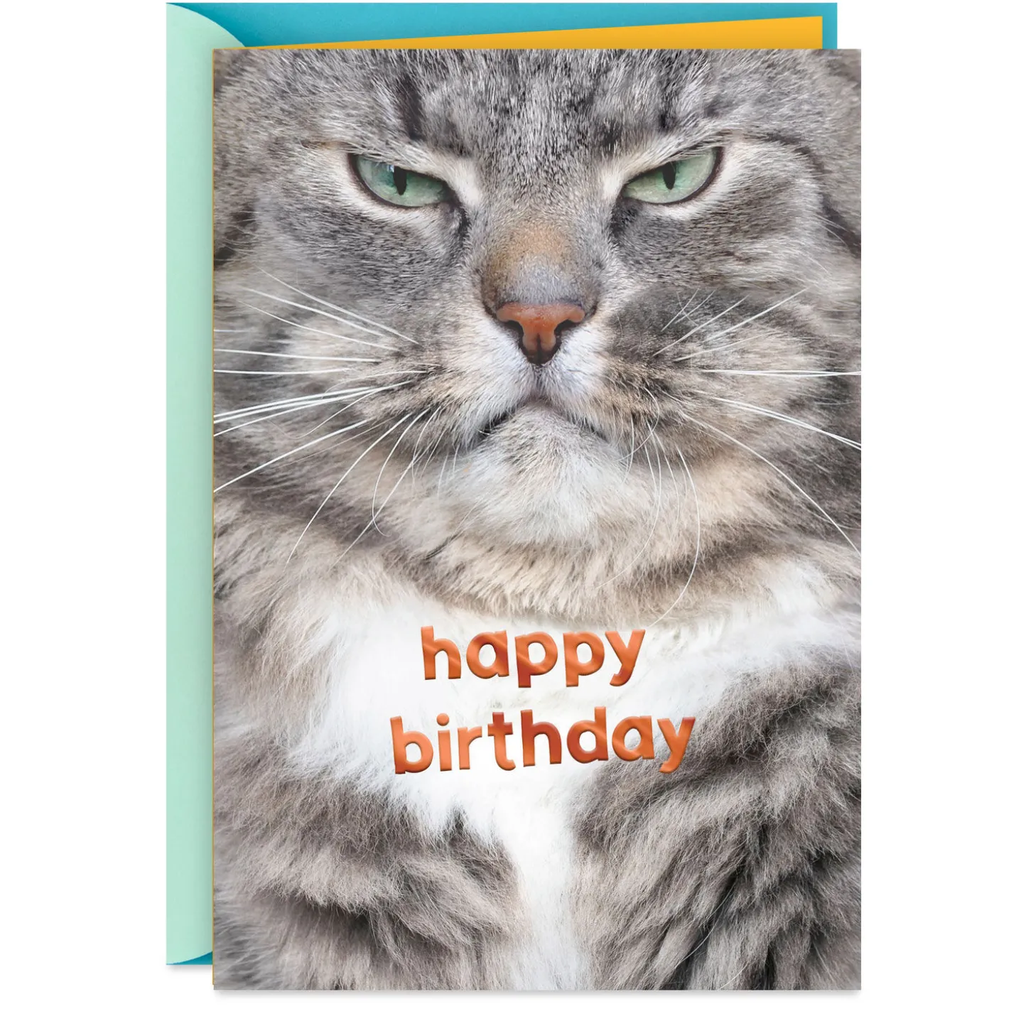 Grumpy Cat Funny Birthday Card