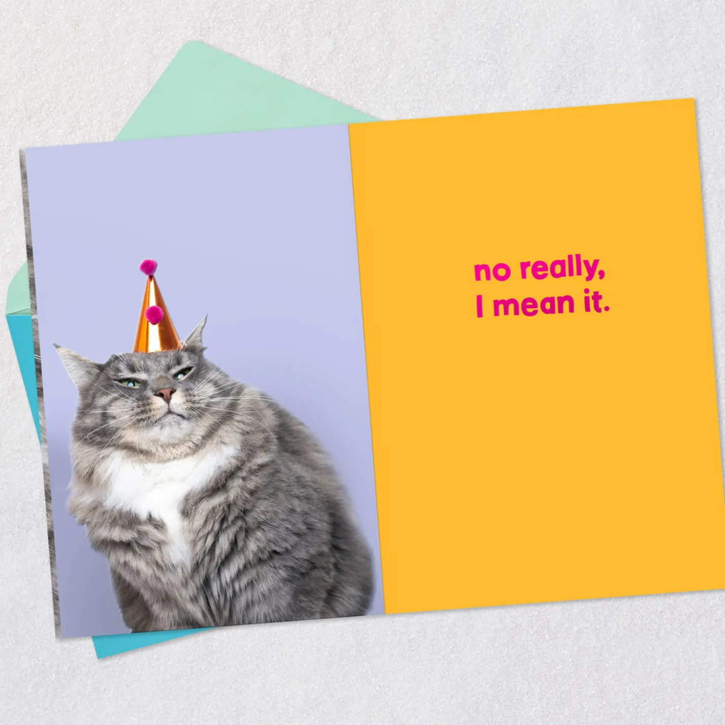 Grumpy Cat Funny Birthday Card