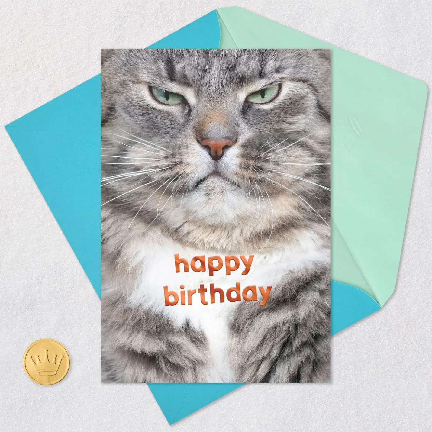 Grumpy Cat Funny Birthday Card