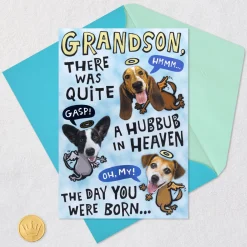 Handsome and Intelligent Funny Pop-Up Birthday Card for Grandson