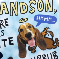 Handsome and Intelligent Funny Pop-Up Birthday Card for Grandson