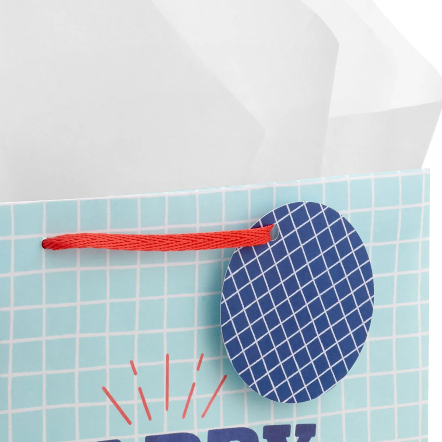 13" Happy Dad Day Large Father's Day Gift Bag With Tissue Paper
