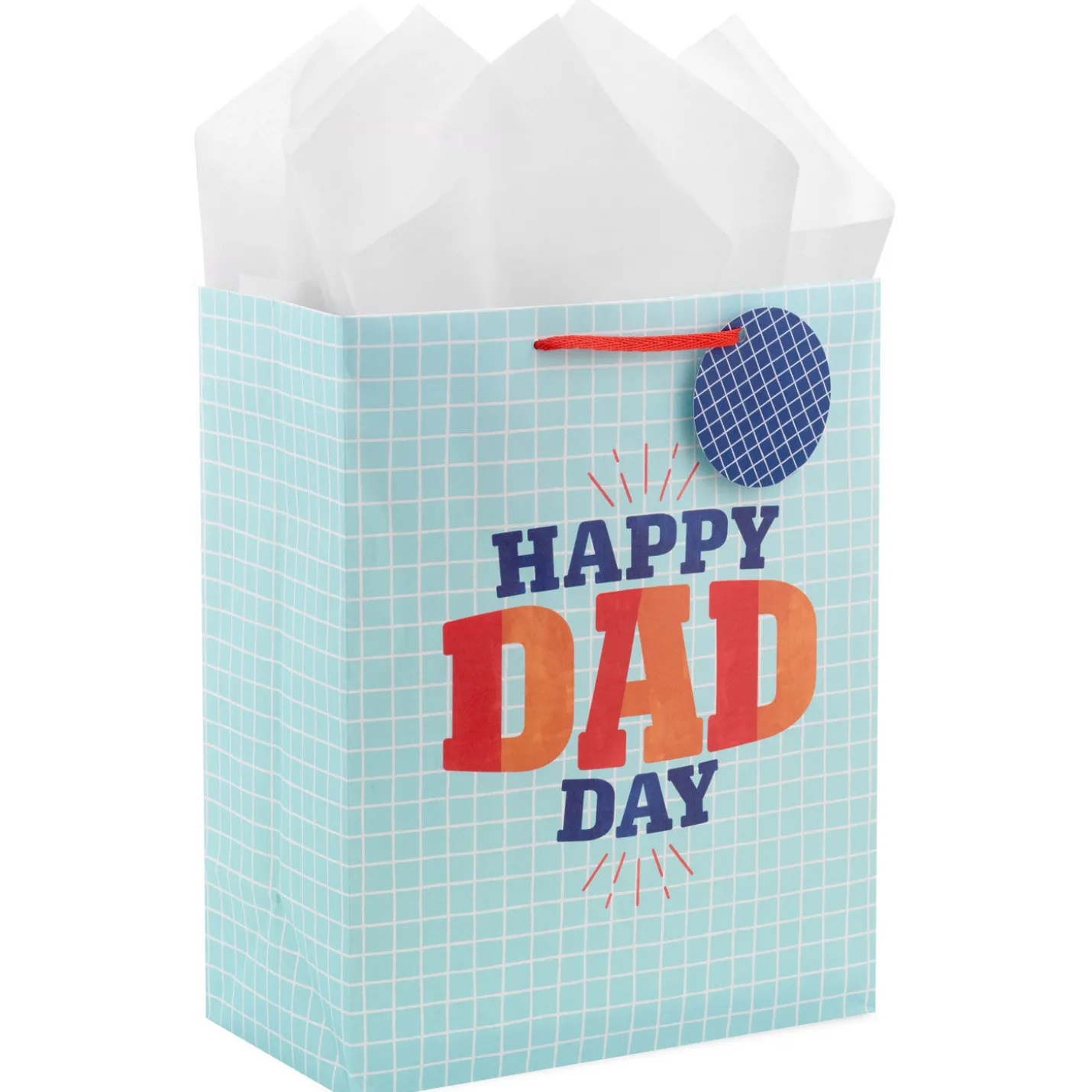 13" Happy Dad Day Large Father's Day Gift Bag With Tissue Paper