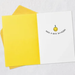 Have a Nice Birthday Smiley Faces Funny Birthday Card