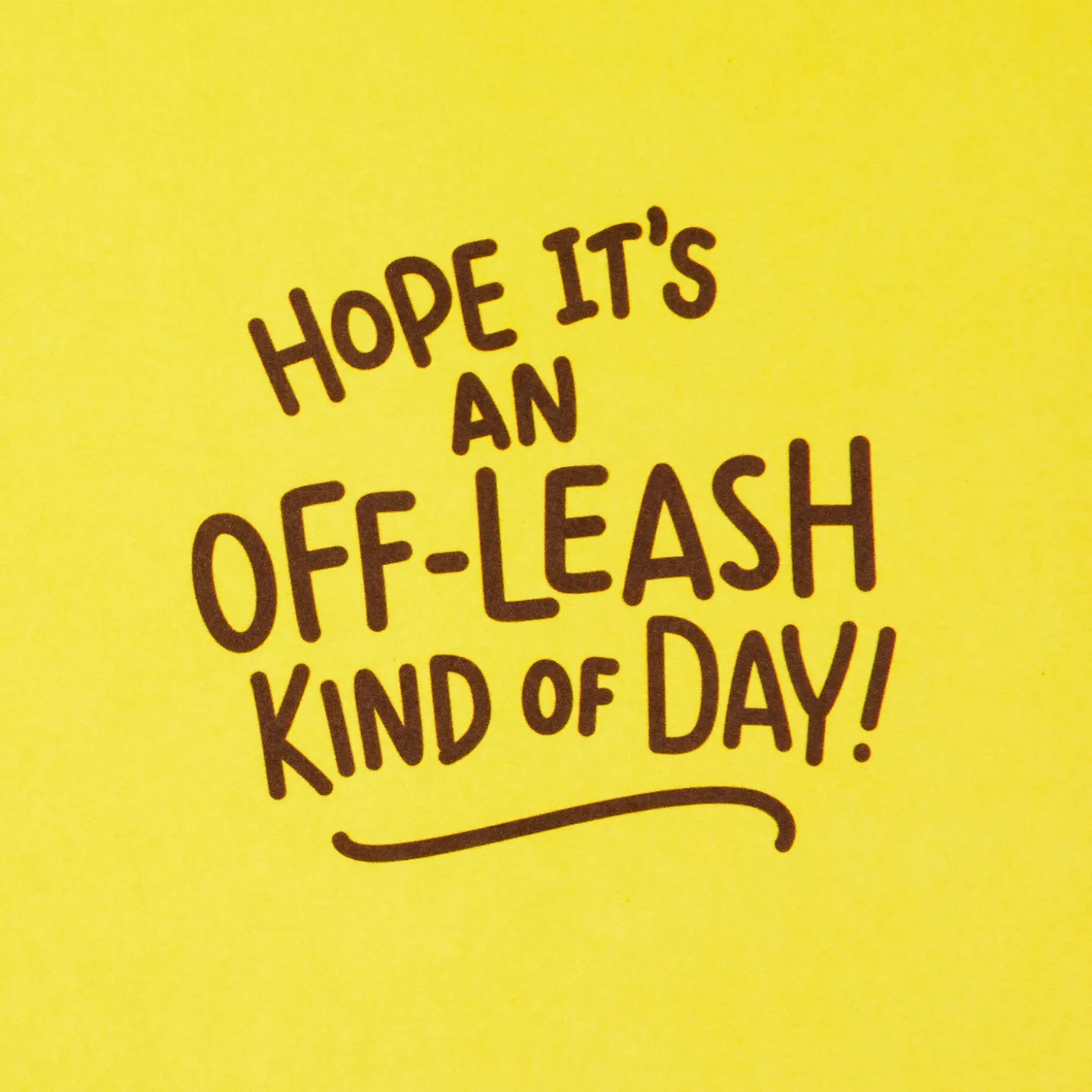 Have an Off-Leash Kind of Day Funny Birthday Card
