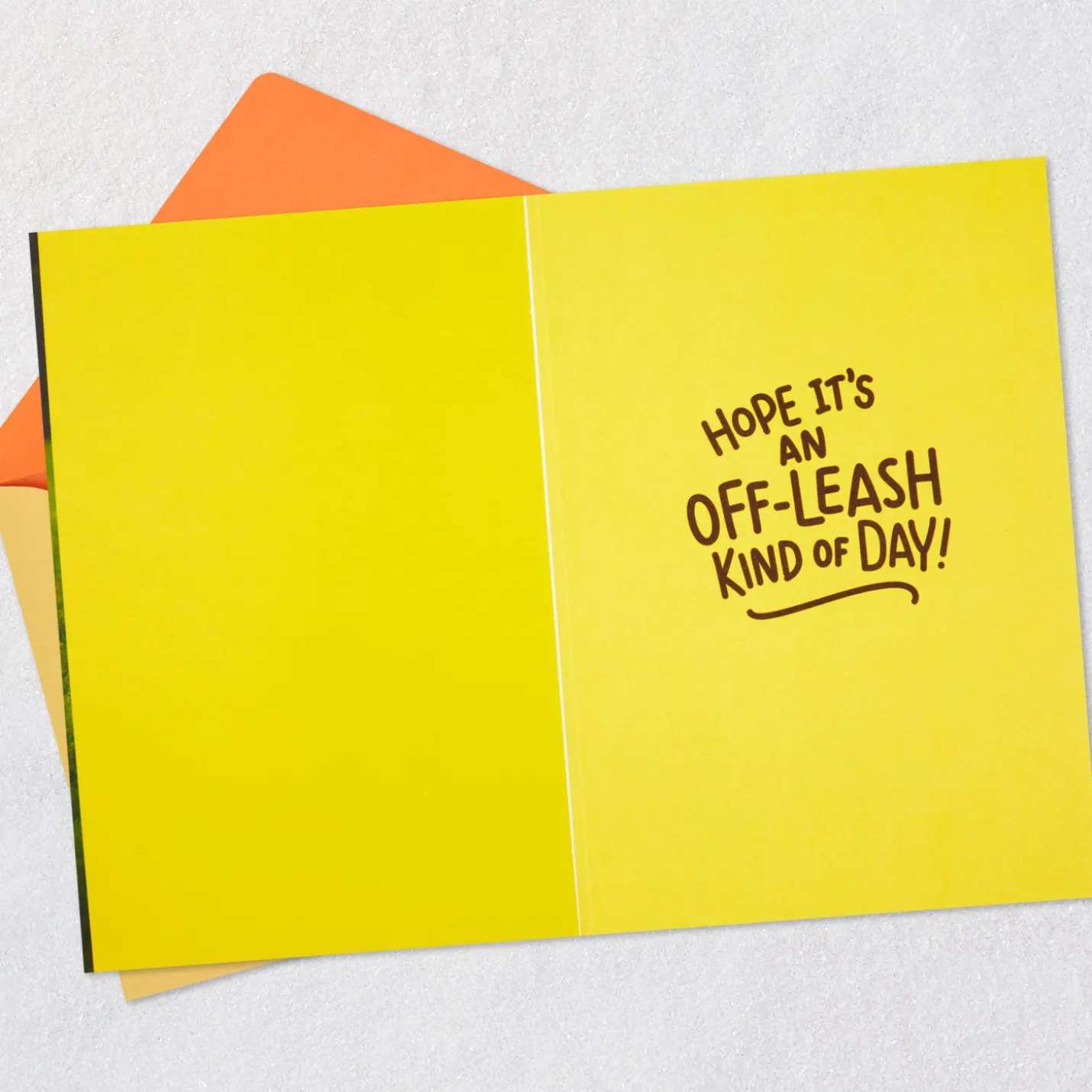 Have an Off-Leash Kind of Day Funny Birthday Card