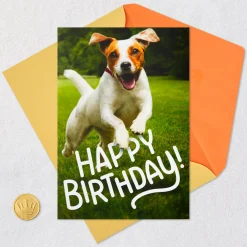 Have an Off-Leash Kind of Day Funny Birthday Card