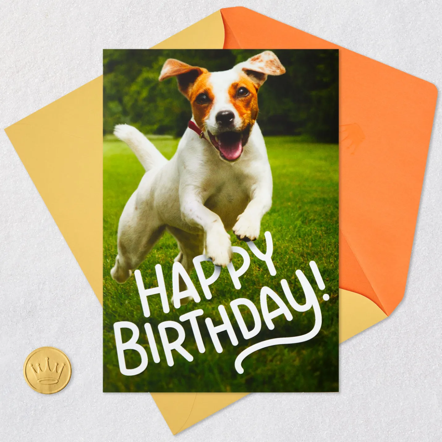 Have an Off-Leash Kind of Day Funny Birthday Card