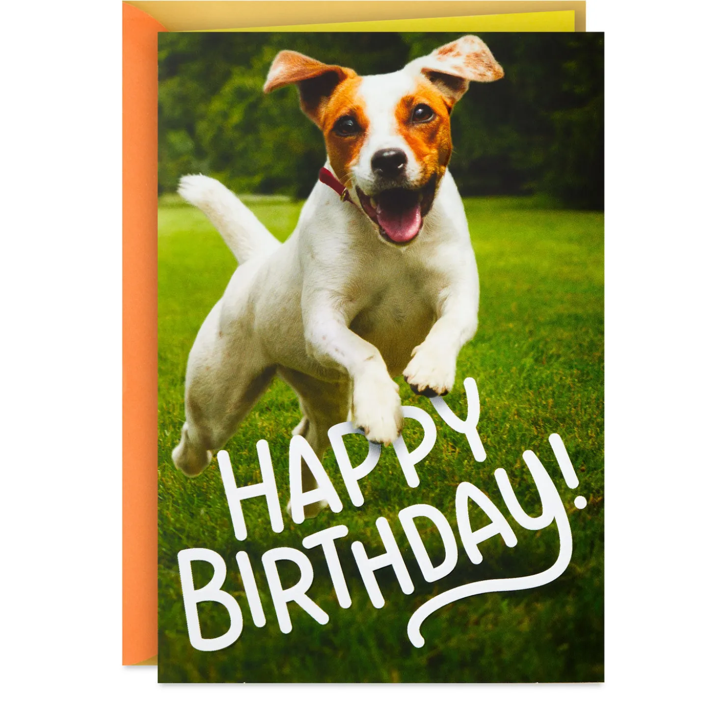 Have an Off-Leash Kind of Day Funny Birthday Card